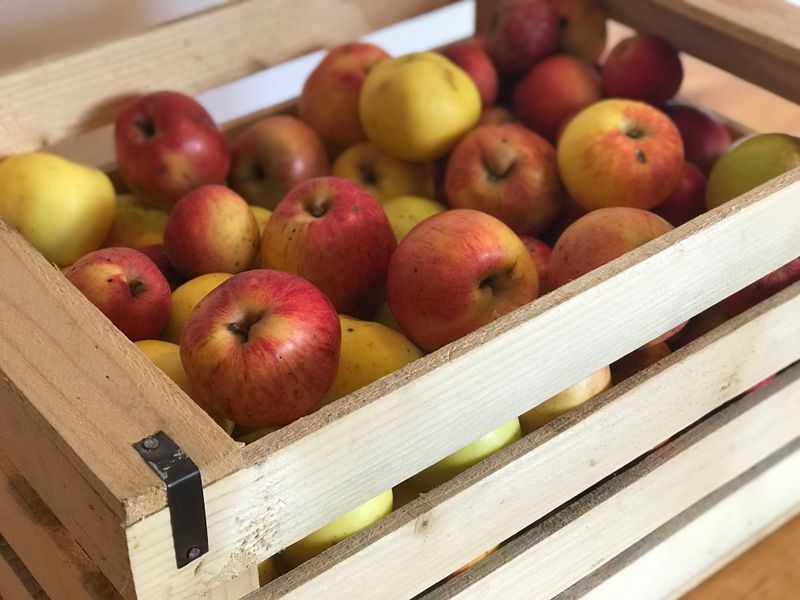Image showing a wooden crate holding apples of different sizes, varieties, and colors.